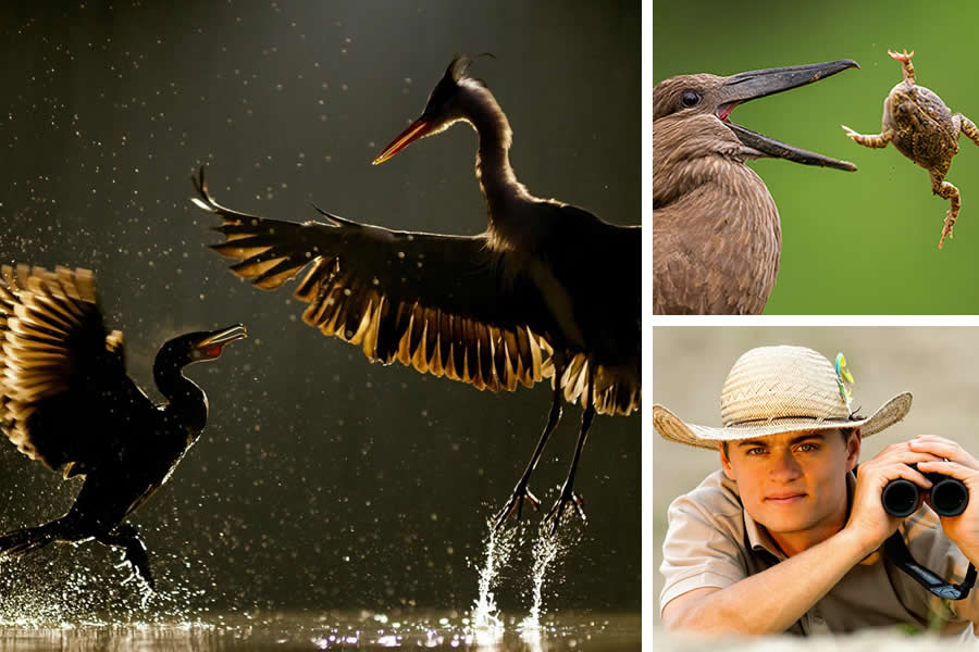 Award-Winning Wildlife Photographers You Should Know About