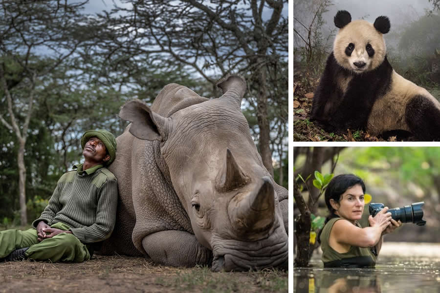 Award-Winning Wildlife Photographers You Should Know About