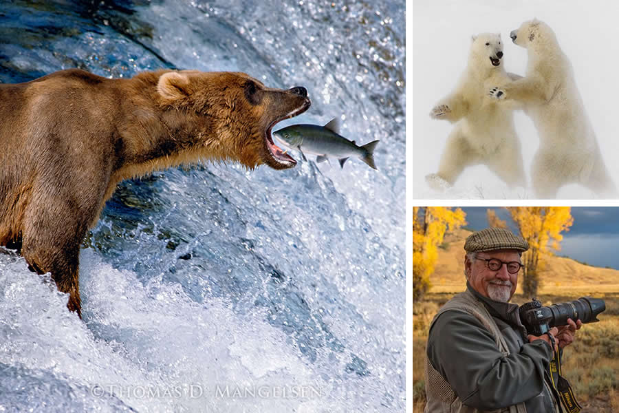 Award-Winning Wildlife Photographers You Should Know About