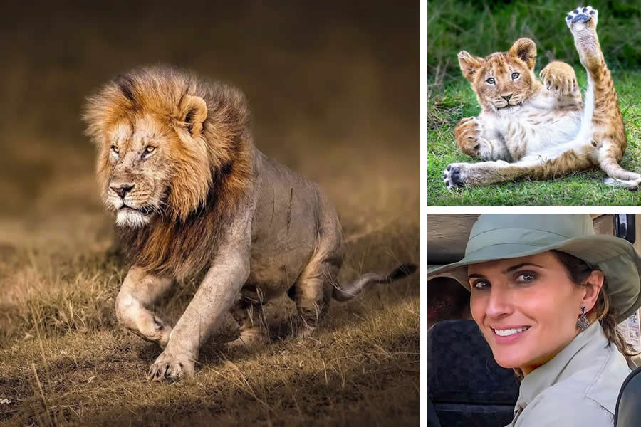 Award-Winning Wildlife Photographers You Should Know About