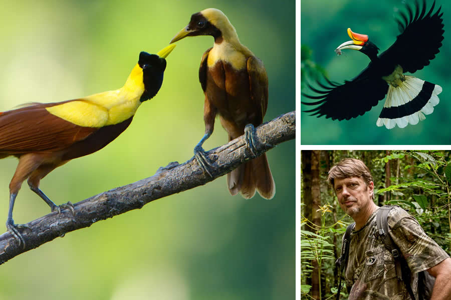 Award-Winning Wildlife Photographers You Should Know About