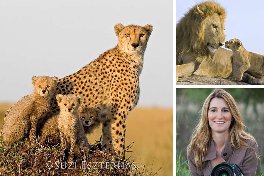 Award-Winning Wildlife Photographers You Should Know About