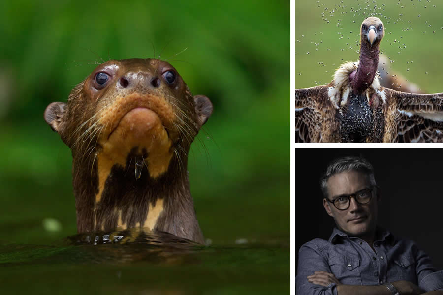Award-Winning Wildlife Photographers You Should Know About