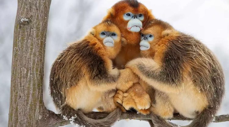 Award-Winning Wildlife Photos That Will Inspire Your Wanderlust