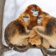 Award-Winning Wildlife Photos That Will Inspire Your Wanderlust