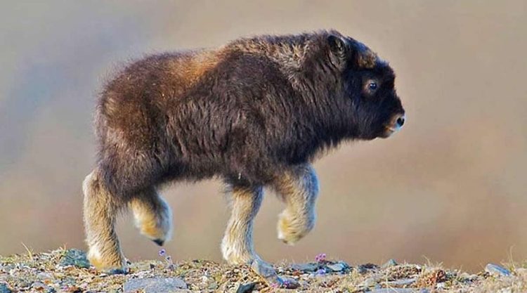 Awe-Inspiring Nature Images That Capture Earth True Beauty