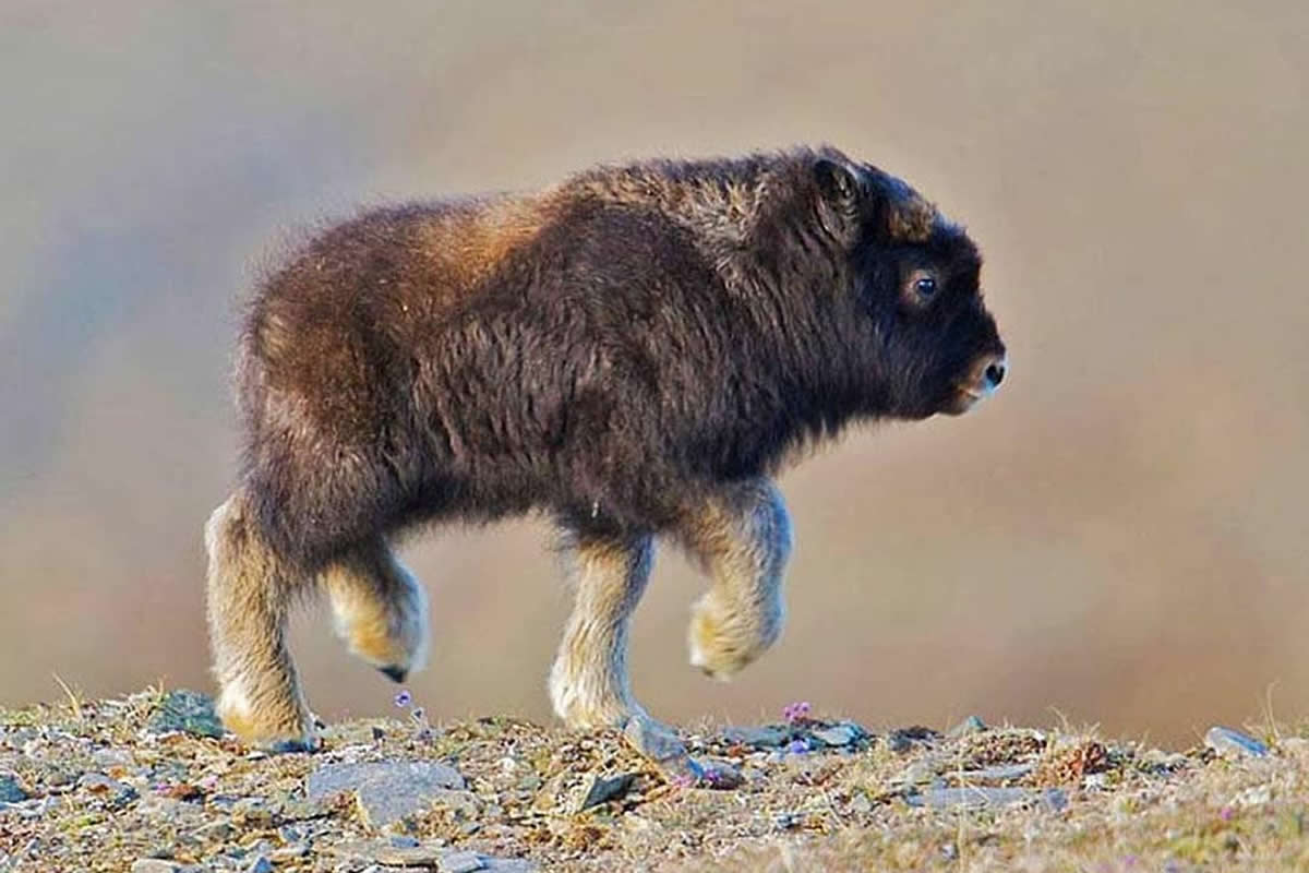 Awe-Inspiring Nature Images That Capture Earth True Beauty