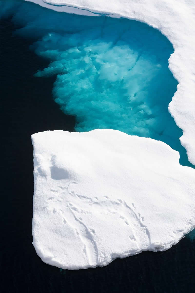 Artistic Beauty of the Greenland Sea by Julieanne Kost