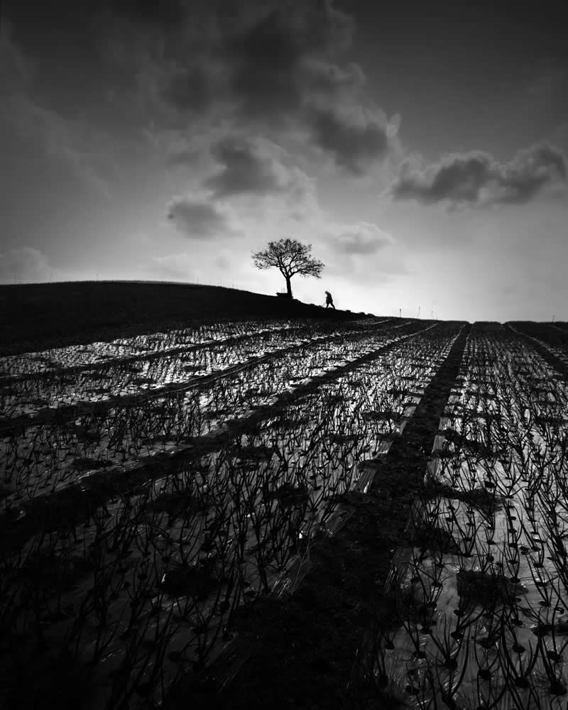 Black and White Photography by Wonjong Seo