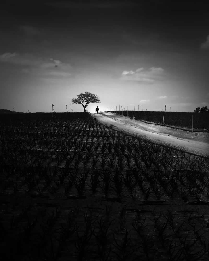 Black and White Photography by Wonjong Seo