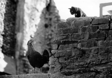 Striking Black and White Street Photography Masterful Composition