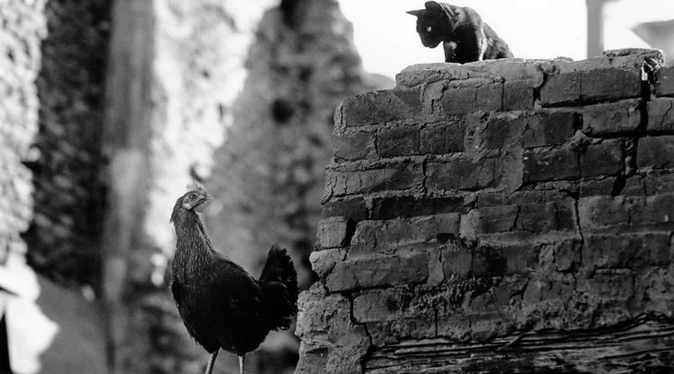 Striking Black and White Street Photography Masterful Composition