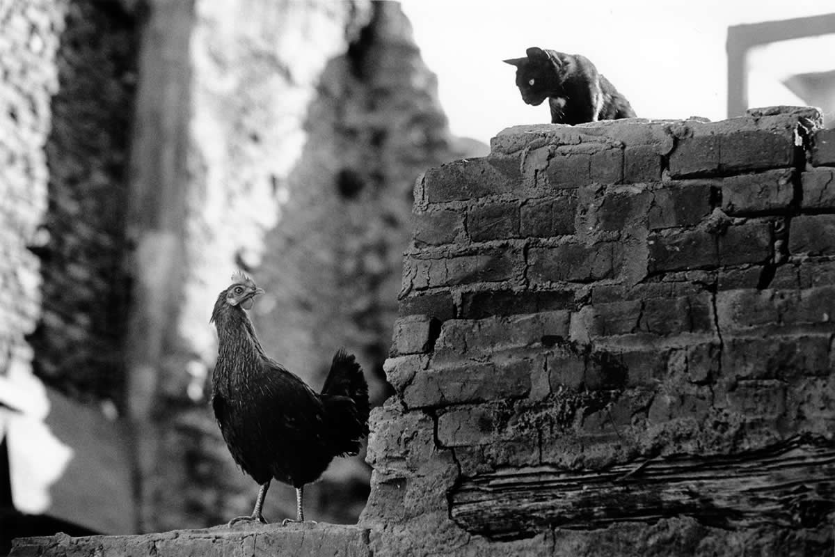 Striking Black and White Street Photography Masterful Composition