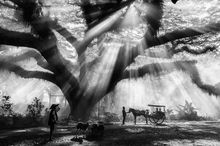 35 Photography Awards Black and White Photos