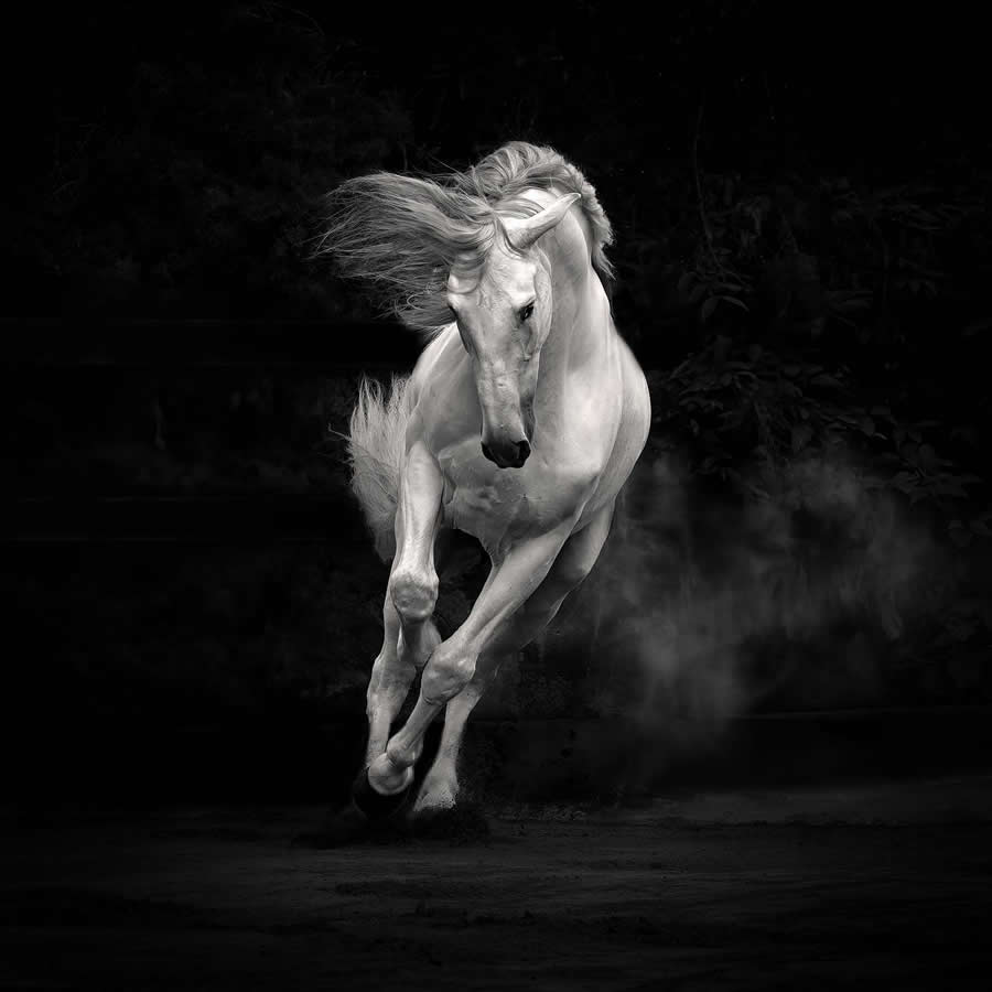 35 Photography Awards Black and White Photos