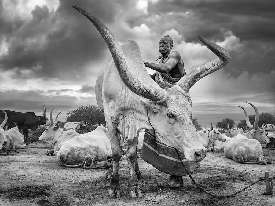 35 Photography Awards Black and White Photos
