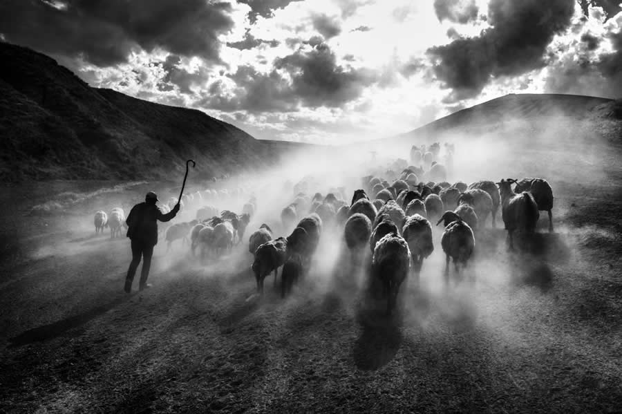 35 Photography Awards Black and White Photos