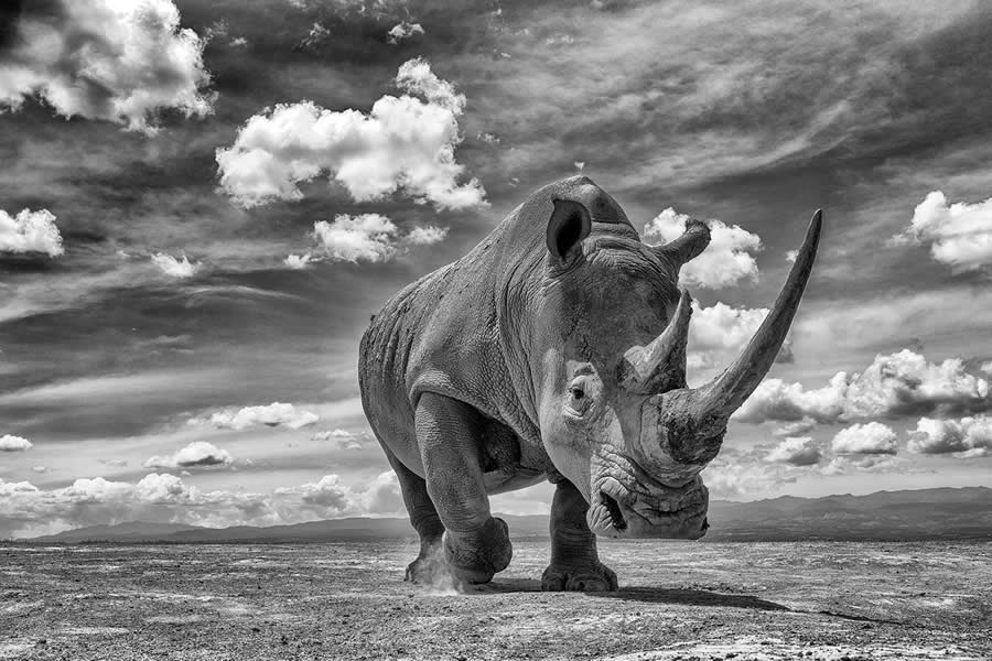 35 Photography Awards Black and White Photos