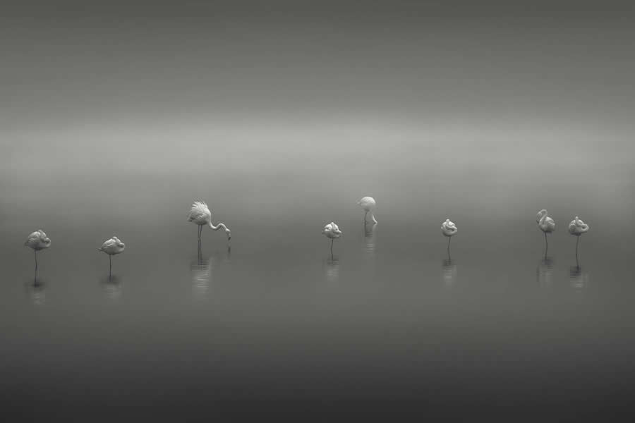 35 Photography Awards Black and White Photos