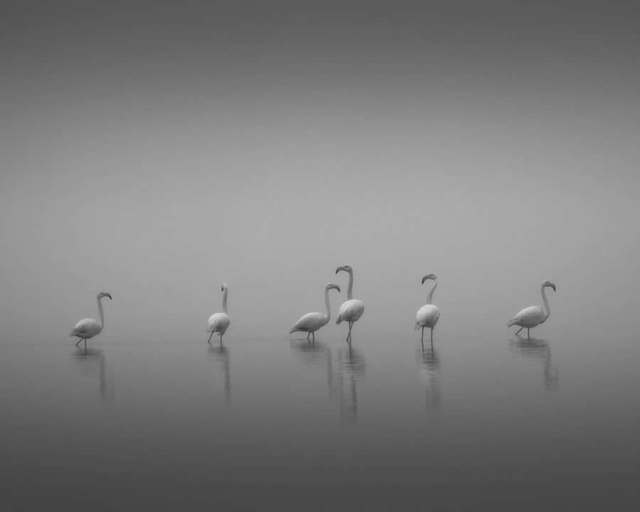 35 Photography Awards Black and White Photos
