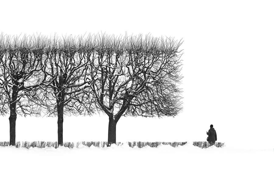 35 Photography Awards Black and White Photos
