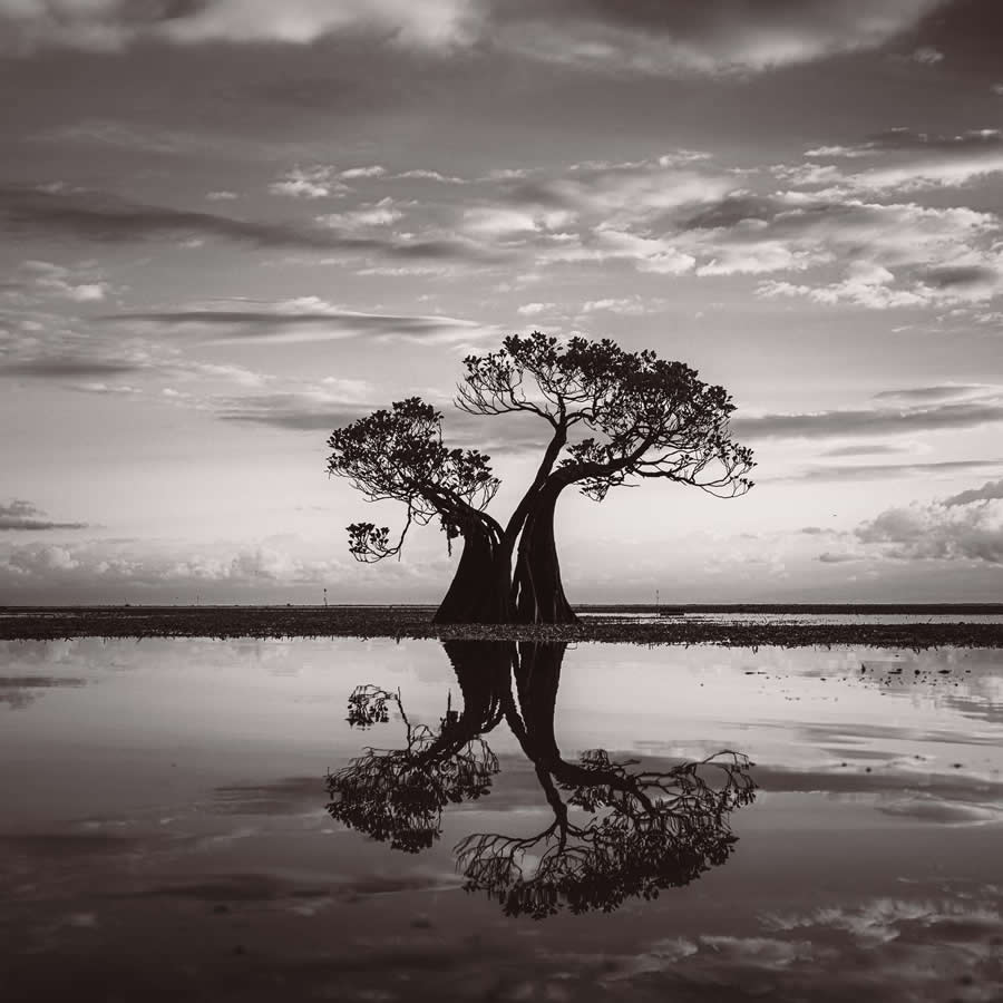 35 Photography Awards Black and White Photos