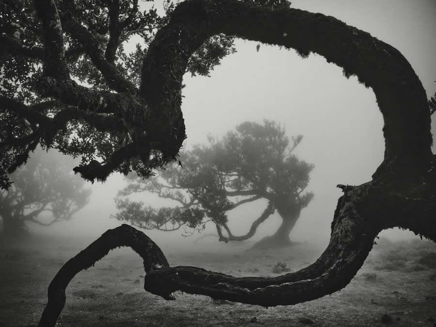 35 Photography Awards Black and White Photos