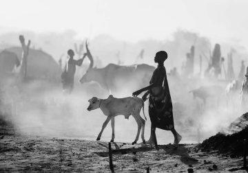 35 Photography Awards Black and White Photos