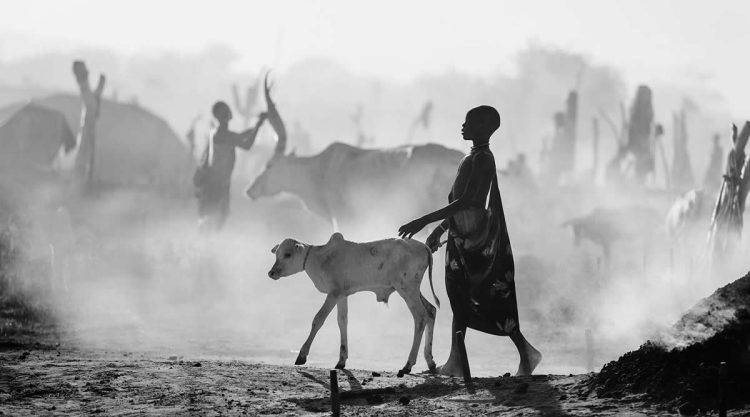 35 Photography Awards Black and White Photos