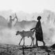 35 Photography Awards Black and White Photos