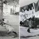 Great Black And White Photographs From The Masters Of Photography