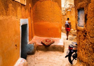 2025 Color Photography Contest Winners