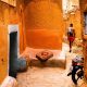 2025 Color Photography Contest Winners