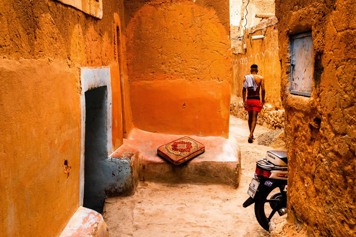 2025 Color Photography Contest Winners