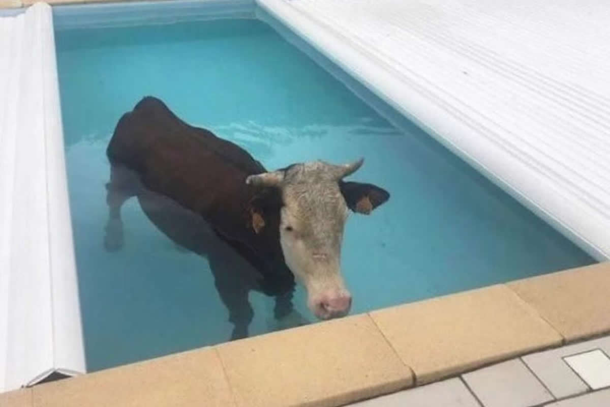 Confusing Pictures That Will Leave You Laughing
