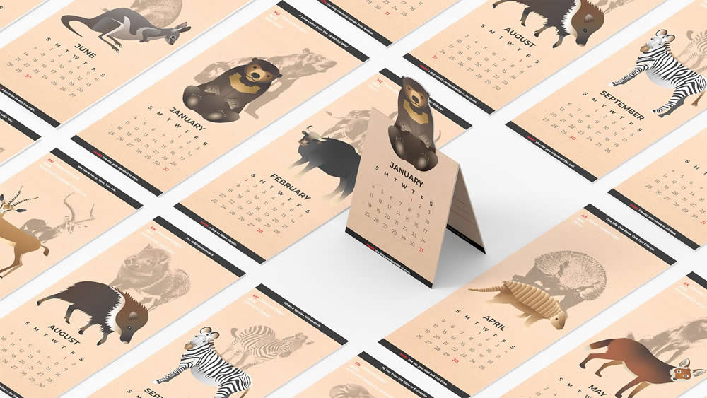 How Yefan Liu Turns Emotion into Everyday Objects