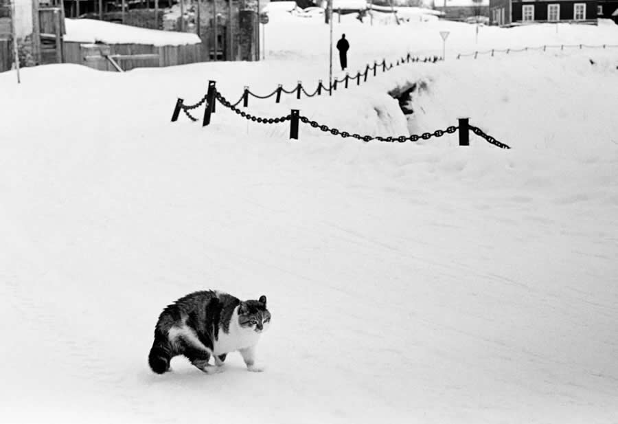 Documentary Photography by Aleksey Myakishev