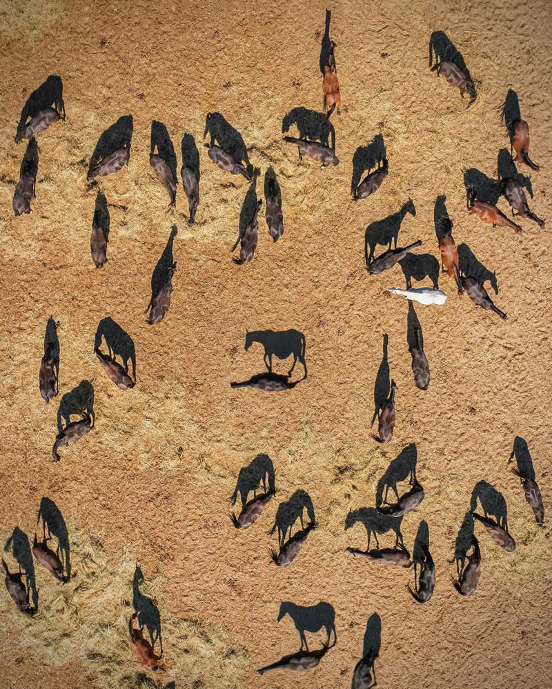 Drone Aerial Photography by Kateryna Polischuk