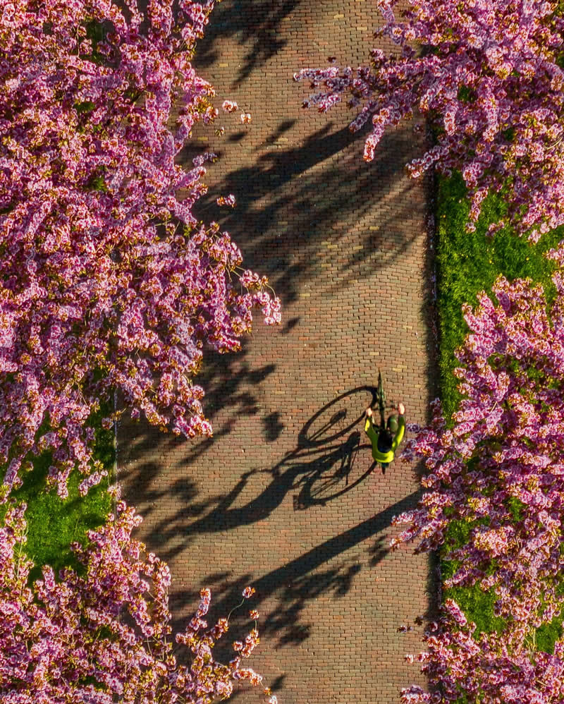 Drone Aerial Photography by Kateryna Polischuk
