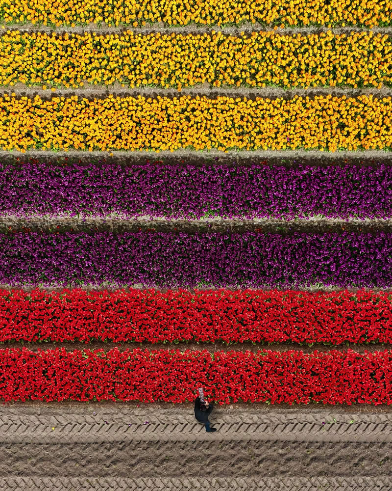 Drone Aerial Photography by Kateryna Polischuk