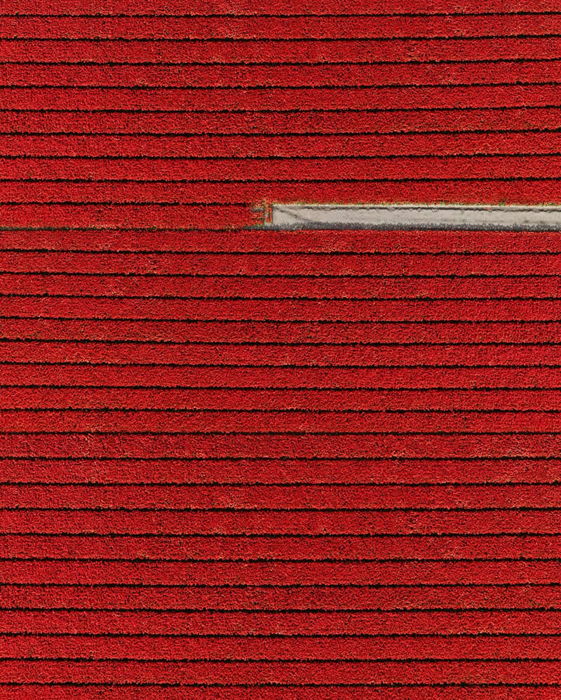 Drone Aerial Photography by Kateryna Polischuk