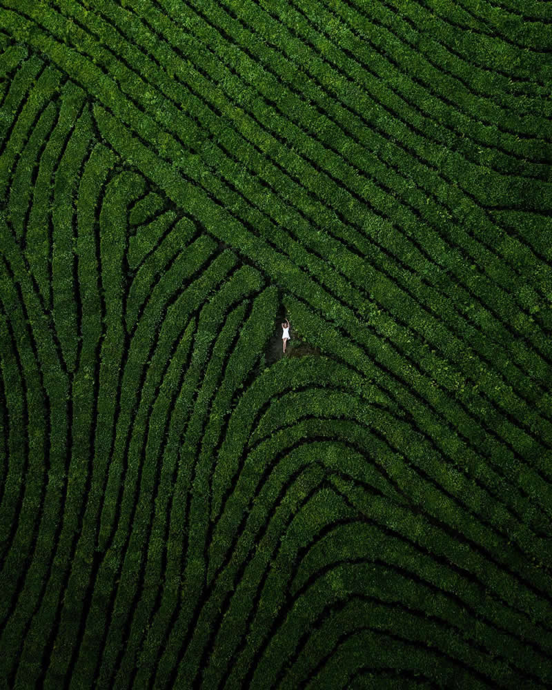 Drone Aerial Photography by Yura Borschev