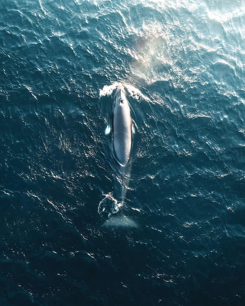 Drone Aerial Photography by Yura Borschev