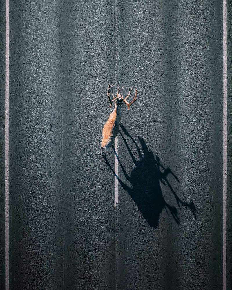 Drone Aerial Photography by Yura Borschev