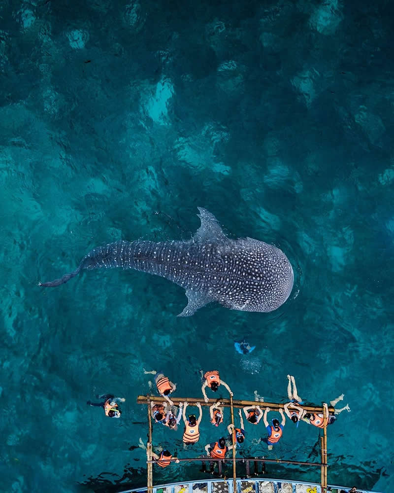 Drone Aerial Photography by Dimitar Karanikolov
