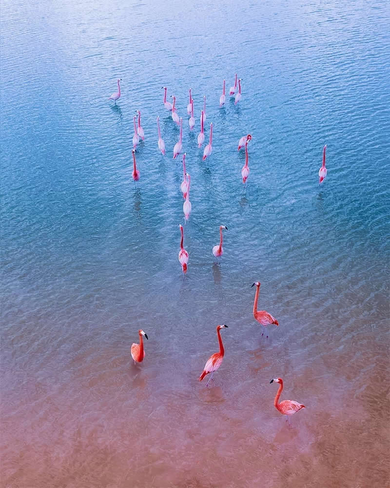 Drone Aerial Photography by Dimitar Karanikolov