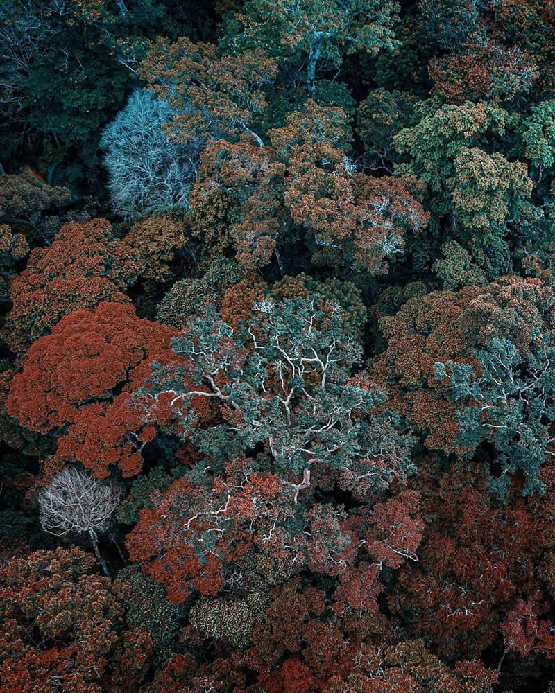 Drone Aerial Photography by Dimitar Karanikolov