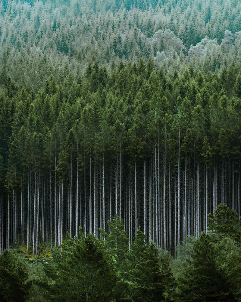 Drone Aerial Photography by Dimitar Karanikolov