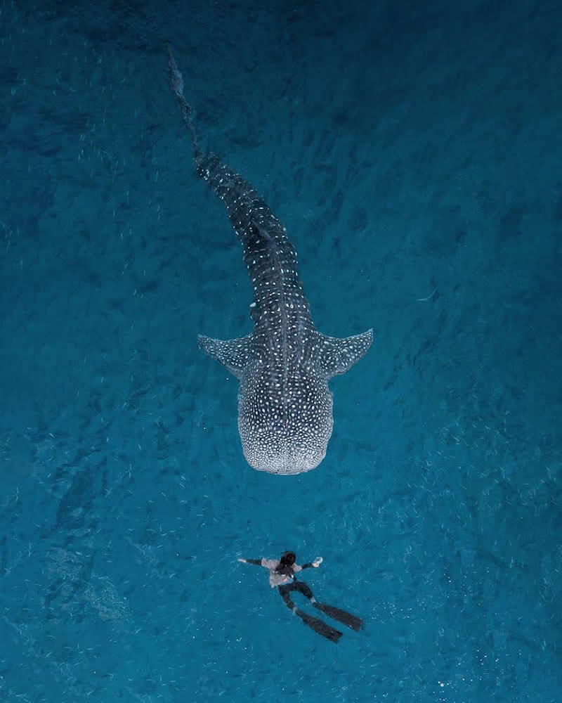 Drone Aerial Photography by Dimitar Karanikolov