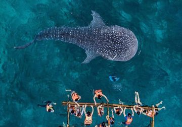 Drone Aerial Photography by Dimitar Karanikolov